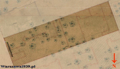 Plan całej posesji „Motor” — Marszałkowska 21/25